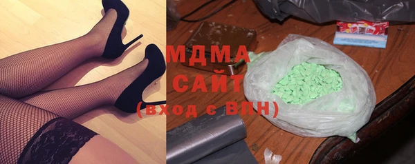 гидра Инта