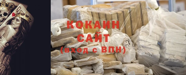 гидра Инта
