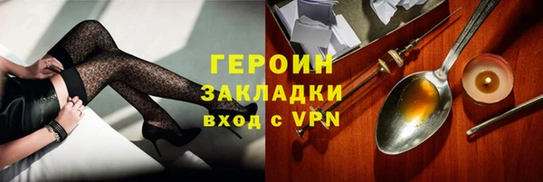 гидра Инта