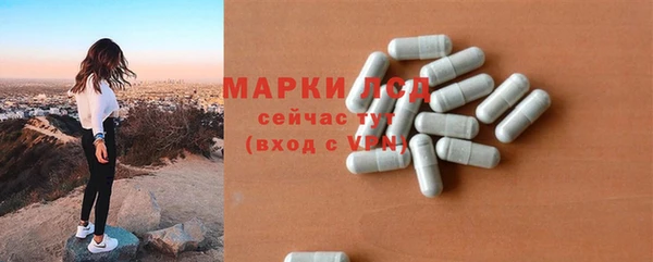 гидра Инта