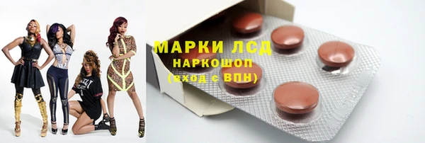 гидра Инта