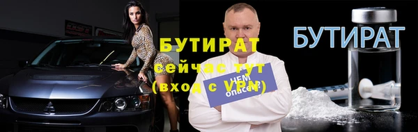 гидра Инта