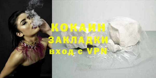 гидра Инта