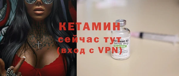 гидра Инта