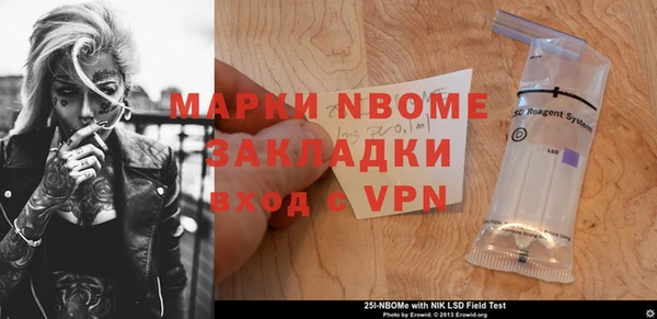 гидра Инта