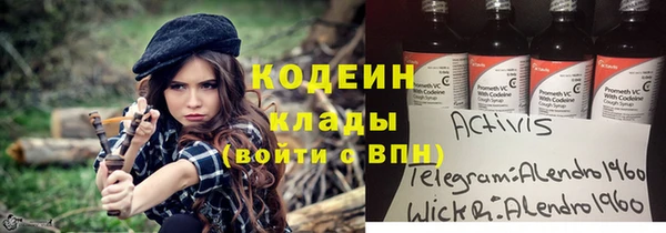 гидра Инта