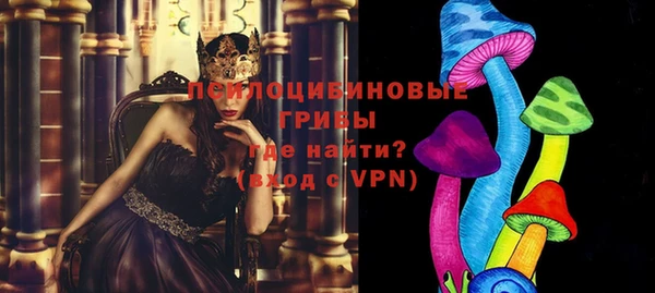 гидра Инта