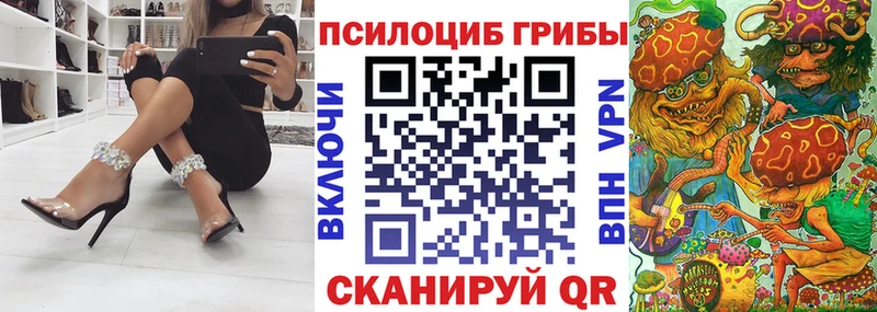 Купить где  Рославль  Галлюциногенные грибы Psilocybe 