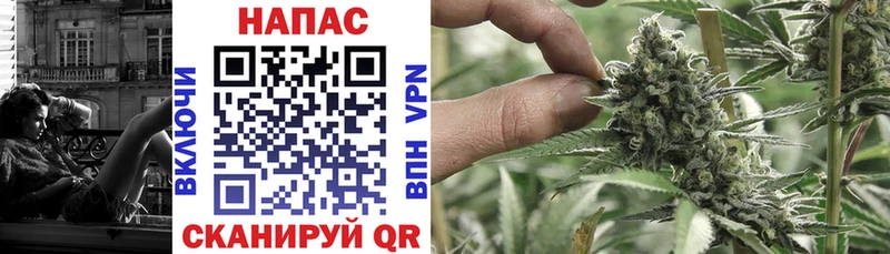 Шишки марихуана конопля Рославль